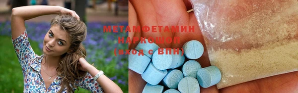 прущие грибы Волоколамск