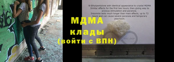 прущие грибы Волоколамск