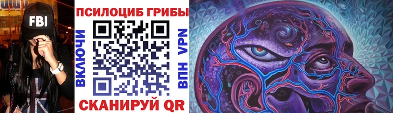 Купить закладки  Катав-Ивановск  Галлюциногенные грибы Psilocybe 